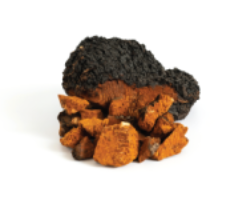 Propolis Extract
