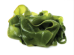 Lettuce