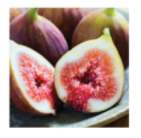 Fig Extract
